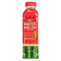 Nápoj Aloe vera melón OKF 500ml