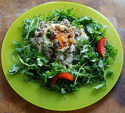 Bibimbap