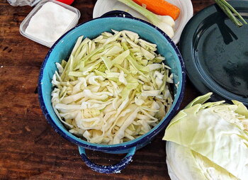 Kimchi, Kimči kapusta