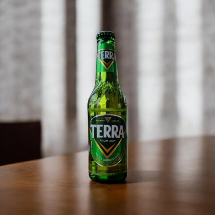 Pivo Terra 330ml