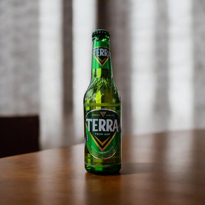 Pivo Terra 330ml