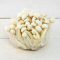 Huby čerstvé Shimeji biele 150g
